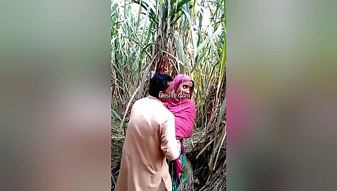 Amateur brunette outdoor porn with a hot girlfriend