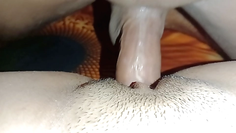 Indian girl with stepbrother gets her pussy fucked