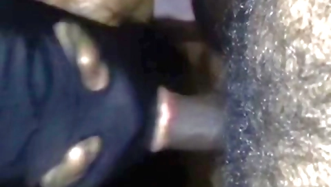 Free Swallow Cum Porn Videos - tamilpornhubx.com